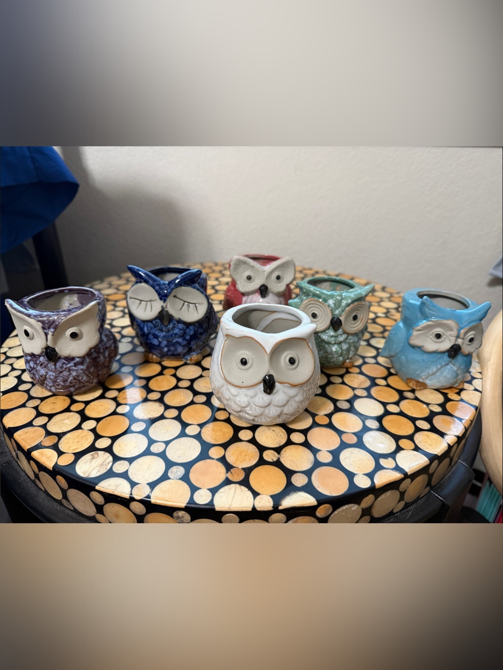 Set of 6 Colorful Ceramic Owl Planters